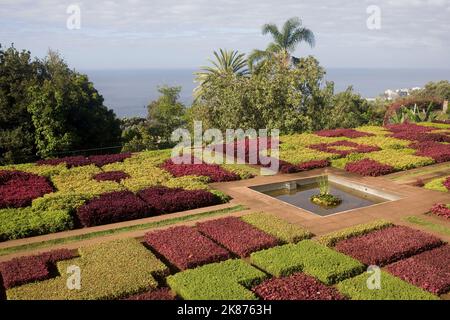 Jardin formel aux Jardins botaniques de Funchal, Madère, Portugal, Atlantique, Europe Banque D'Images