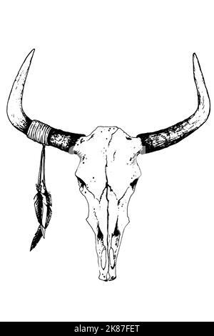 Vintage Bull Skull Head Sketch dans un style dessiné à la main. Illustration noir sur blanc dans un style bohème minimaliste. Banque D'Images