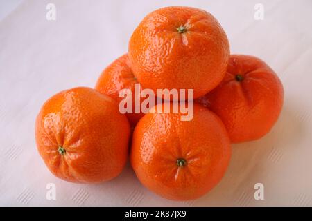 GROUPE DE TANGERINES SUR FOND BLANC Banque D'Images