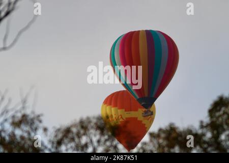 Ballons d'air chaud volant bas dans la Yarra Valley, Victoria, Australie Banque D'Images