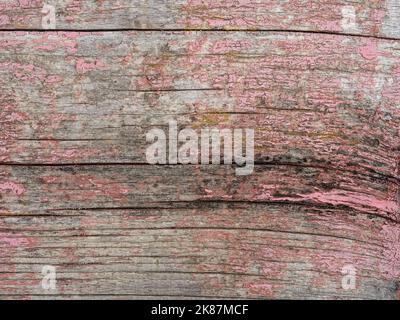 Arrière-plan en bois peint rose de haute qualité. Vue de face avec espace de copie. Banque D'Images