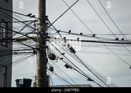 Pigeons perchés sur des fils électriques. Ciel nuageux, belle journée. Salvador, Bahia, Brésil. Banque D'Images