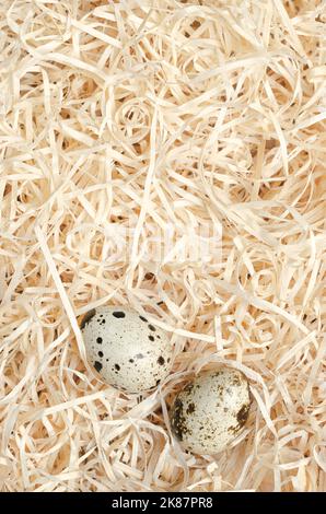 Paire d'oeufs de caille dans un nid de laine de bois, d'en haut. Œufs frais, mouchetés, entiers de cailles communes, Coturnix coturnix, délicatesse, consommés crus ou cuits. Banque D'Images