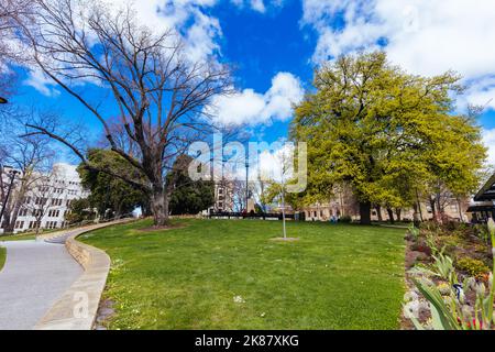 Franklin Square à Hobart Tasmanie Australie Banque D'Images