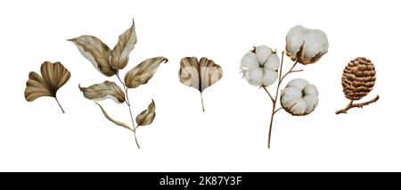 Composition avec coton, feuilles et cônes Banque D'Images