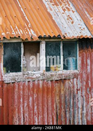 Vieux hangar en étain peint délabré avec arrière-plan de détail de fenêtres. Banque D'Images