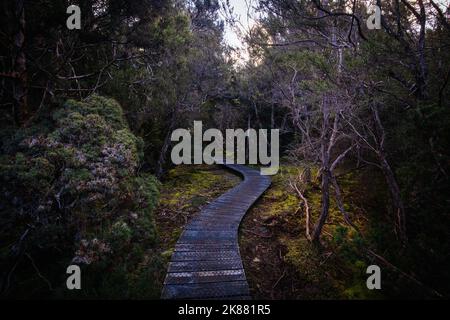 La célèbre promenade enchantée et le paysage dans un après-midi de printemps frais à Cradle Mountain, Tasmanie, Australie Banque D'Images