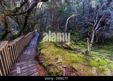 La célèbre promenade enchantée et le paysage dans un après-midi de printemps frais à Cradle Mountain, Tasmanie, Australie Banque D'Images