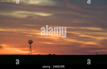 Coucher de soleil à Pampas, province de la Pampa, Patagonie, Argentine. Banque D'Images