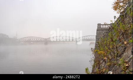Remblai de la Vltava à Prague dans un matin d'automne brumeux. Les arches du pont ferroviaire de Vyšehradský sont visibles dans le brouillard, avec un train passant. Banque D'Images