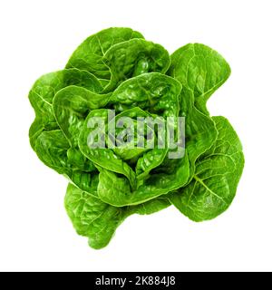 Coeur de laitue romaine fraîche et verte, d'en haut. Egalement cos laitue, une grande tête de laitue de solides feuilles vert foncé avec des côtes fermes au centre. Banque D'Images