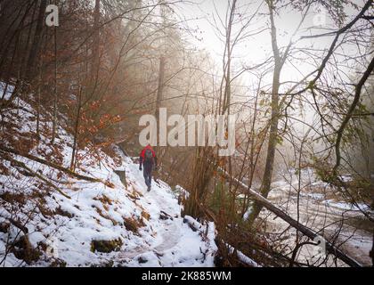 Un homme dans un blouson rouge marchant le long d'un sentier forestier enneigé à Prielom Hornadu Slovensky raj Slovaquie Banque D'Images