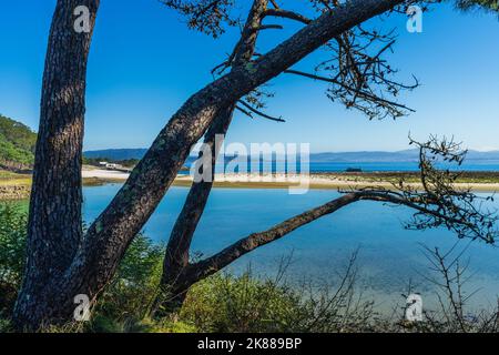 Belle plage de Rodas dans le parc national des Îles Cies à Vigo, Galice, Espagne. Banque D'Images