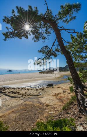 Belle plage de Rodas dans le parc national des Îles Cies à Vigo, Galice, Espagne. Banque D'Images