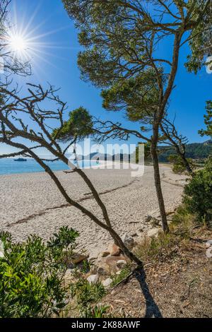 Belle plage de Rodas dans le parc national des Îles Cies à Vigo, Galice, Espagne. Banque D'Images