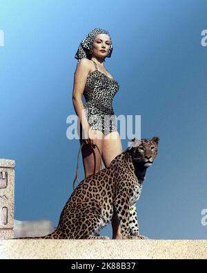 Gene Tierney & Leopard actrice 01 mai 1953 **AVERTISSEMENT** cette photographie est destinée à un usage éditorial exclusif et est protégée par les droits d'auteur de la Société du film et/ou du photographe désigné par la Société du film ou de la production et ne peut être reproduite que par des publications dans le cadre de la promotion du film ci-dessus. Un crédit obligatoire pour la société de film est requis. Le photographe doit également être crédité lorsqu'il est connu. Aucune utilisation commerciale ne peut être accordée sans l'autorisation écrite de la Société du film. Banque D'Images