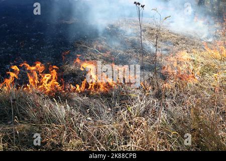 Feu dans une clairière dans un parc de la ville Banque D'Images