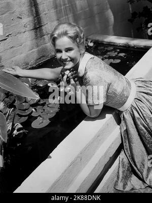 Maria Schell actrice 01 mai 1958 **AVERTISSEMENT** cette photographie est réservée à un usage éditorial et est protégée par le copyright de MGM et/ou du photographe désigné par le film ou la société de production et ne peut être reproduite que par des publications dans le cadre de la promotion du film ci-dessus. Un crédit obligatoire à MGM est requis. Le photographe doit également être crédité lorsqu'il est connu. Aucune utilisation commerciale ne peut être accordée sans autorisation écrite de The film Company. Banque D'Images
