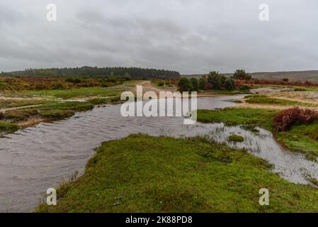 Godshill, Hampshire, Royaume-Uni, 21st octobre 2022, Météo : après des mois de précipitations inférieures à la moyenne, une période de pluie torrentielle pendant l'après-midi restaure la campagne de la New Forest à son état normal d'automne de boggy. Paul Biggins/Alamy Live News Banque D'Images