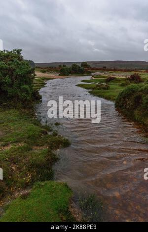 Godshill, Hampshire, Royaume-Uni, 21st octobre 2022, Météo : après des mois de précipitations inférieures à la moyenne, une période de pluie torrentielle pendant l'après-midi restaure la campagne de la New Forest à son état normal d'automne de boggy. Paul Biggins/Alamy Live News Banque D'Images