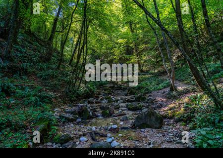 La gorge de Ratenbachklamm près du village de Kaltern, dans la vallée de l'Etschtal, dans le Tyrol du Sud, en Italie Banque D'Images