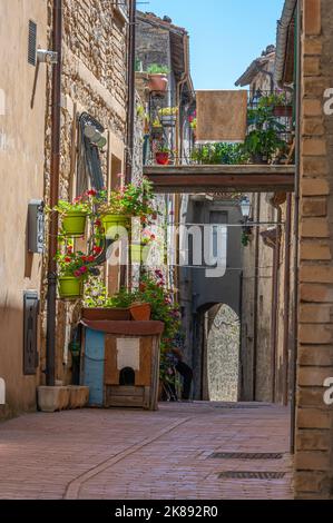 Belles rues avec des bâtiments en pierre et des fleurs dans le centre historique de Civitella del Tronto Banque D'Images