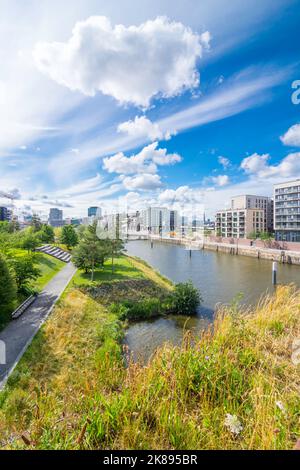 Vue sur le Baakenpark à Hambourg. En premier plan un pré de fleurs adapté aux insectes, en arrière-plan la Hafencity moderne avec de vieilles grues de port Banque D'Images