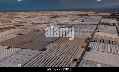 Serres, extérieur, extérieur. Mer de plastique, à El Ejido, Almería, Andalousie, Espagne Banque D'Images