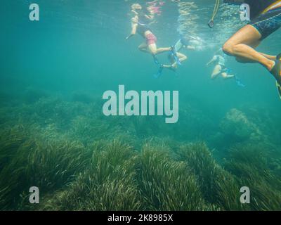 Personnes pratiquant la plongée en apnée et Posidonia oceanica dans la mer Méditerranée, sur la côte espagnole Banque D'Images