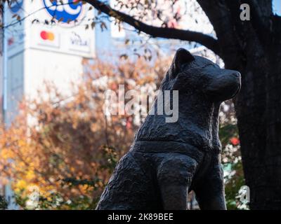 La célèbre statue de Hachiko, située à l'extérieur de la gare de Shibuya, Tokyo. Banque D'Images