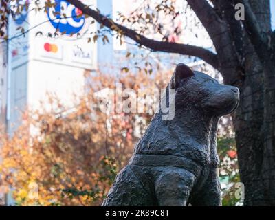 La célèbre statue de Hachiko, située à l'extérieur de la gare de Shibuya, Tokyo. Banque D'Images