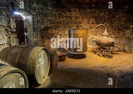 Barils avec solera et alembic pour l'eau-de-vie dans le musée du vin El Grifo appartenant à la famille dans l'ancienne cave à vin Banque D'Images