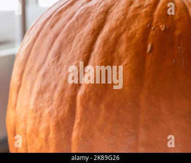 Une vie encore d'une citrouille orange vif (Cucurbita pepo) assise par une fenêtre. Banque D'Images