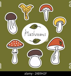 Ensemble d'autocollants de dessin animé pour les groovy et les champignons. Différents types de champignons, collection d'automne sur fond vert. Illustration vectorielle mignonne dessinée à la main. Illustration de Vecteur