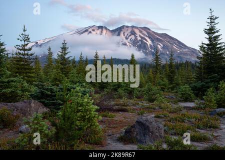 WA22480-00...WASHINGTON - lever du soleil sur le mont St. Helens depuis le point de vue de Lahar dans le monument volcanique national du mont St. Helens. Banque D'Images