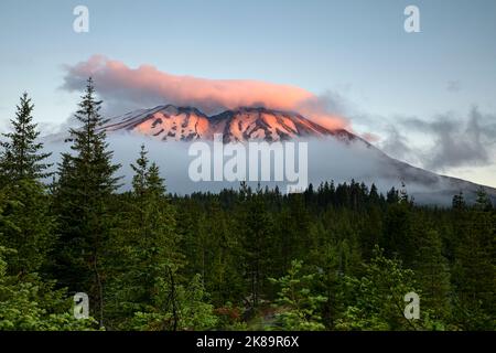 WA22482-00...WASHINGTON - lever du soleil sur le mont St. Helens depuis le point de vue de Lahar dans le monument volcanique national du mont St. Helens. Banque D'Images