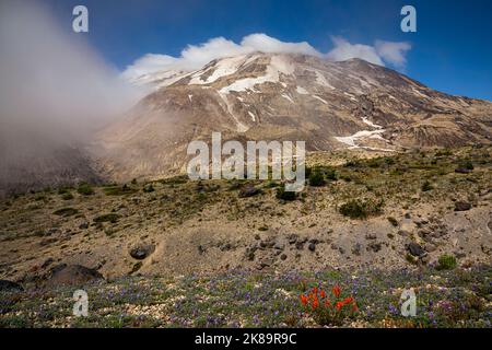 WA22486-00...WASHINGTON - formation de brouillard autour des plaines d'Abraham et d'une calotte nuageuse sur le sommet du mont St. Helens dans le Monument volcanique national Banque D'Images