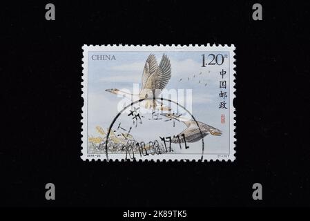 CHINE - VERS 2018: Un timbre imprimé en Chine montre 2018-22 Wild Goose, vers 2018 Banque D'Images
