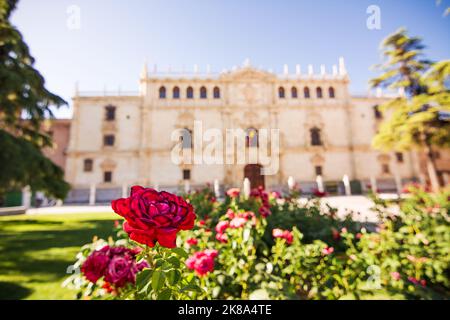 Façade du bâtiment du Collège de Saint Ildefonso, siège de l'Université d'Alcala de Henares et roseraie en premier plan Banque D'Images