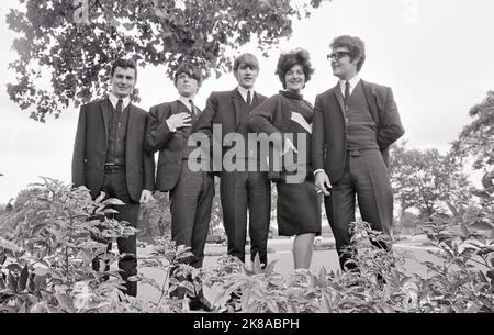 LE GROUPE pop du Royaume-UNI HONEYBREBS en septembre 1965 avec Honey Lantree. Photo : Tony Gale Banque D'Images