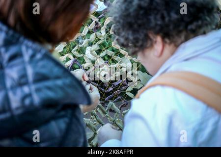Odessa, Ukraine. 15th octobre 2022. Les femmes sont vues tisser un filet de camouflage pour les besoins des forces armées de l'Ukraine. Journée de repos dans le parc nommé d'après Maxim Gorky. Les enfants pourraient accrocher des photos consacrées à l'Ukraine et aux forces armées de l'Ukraine et apprendre à tisser des filets de camouflage pour les besoins des forces armées de l'Ukraine avec des adultes. (Photo de Viacheslav Onyshchenko/SOPA Images/Sipa USA) crédit: SIPA USA/Alay Live News Banque D'Images