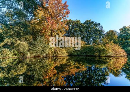 Tiergarten im Herbst, Herbstfarben, verfärbte Blätter, Berlin, Allemagne Banque D'Images