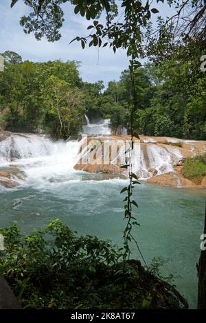 Vue sur les cascades d'Agua Azul à Chiapas, Mexique. Magnifique paysage naturel mexicain avec chute d'eau et forêt tropicale Banque D'Images