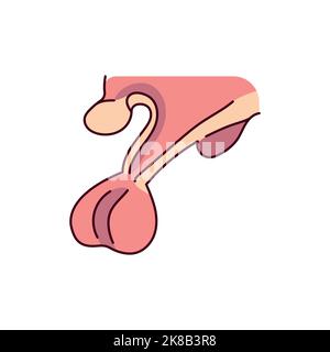 Icône de ligne de couleur d'hypothalamus. Système endocrinien. Pictogramme pour page Web Illustration de Vecteur