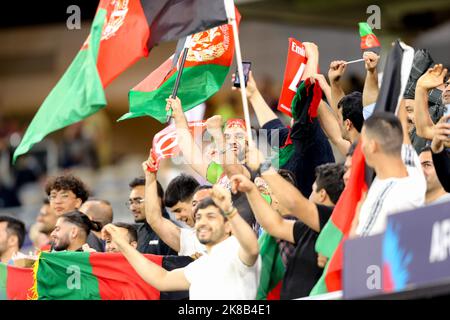 Perth, Australie. 22nd octobre 2022 ; Optus Stadium, Perth, Australie occidentale : coupe du monde de cricket T20, Angleterre contre Afghanistan : les fans montrant des couleurs vives Credit: Action plus Sports Images/Alamy Live News Banque D'Images