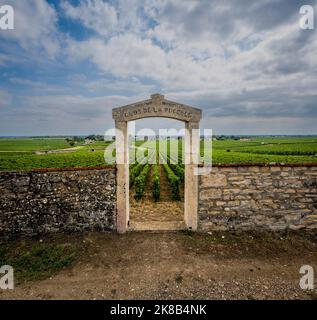 Porte en pierre d'un vignoble sur la Côte de Beaune, Bourgogne, France. Banque D'Images