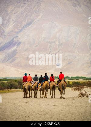 Hunder est un village dans le district de Leh de Ladakh, Inde célèbre pour les dunes de sable, chameaux de Bactrian. Les touristes adorent prendre aride sur des chameaux à double bosse. Banque D'Images