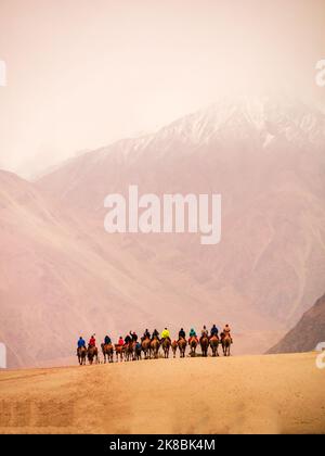 Hunder est un village dans le district de Leh de Ladakh, Inde célèbre pour les dunes de sable, chameaux de Bactrian. Les touristes adorent prendre aride sur des chameaux à double bosse. Banque D'Images