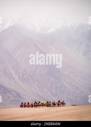 Hunder est un village dans le district de Leh de Ladakh, Inde célèbre pour les dunes de sable, chameaux de Bactrian. Les touristes adorent prendre aride sur des chameaux à double bosse. Banque D'Images