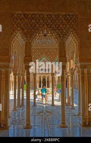 Le Palais des Lions, l'un des 3 palais principaux du complexe du Palais de l'Alhambra à Grenade, Andalousie, Espagne. Banque D'Images